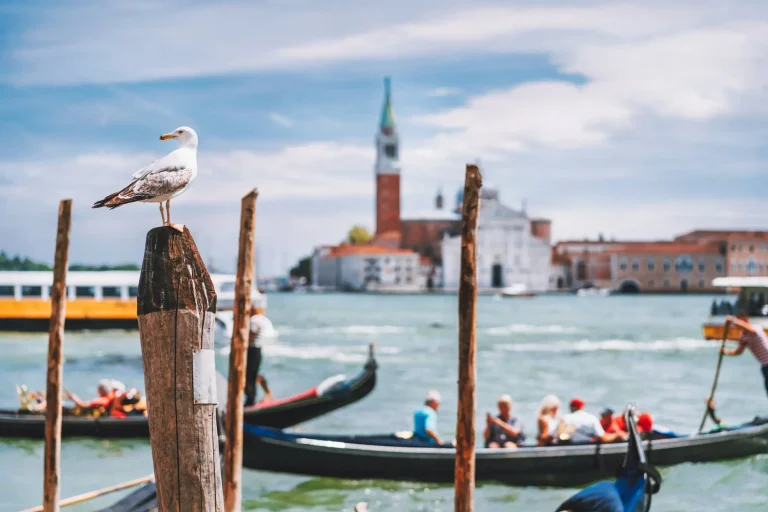 Laguna di Venezia