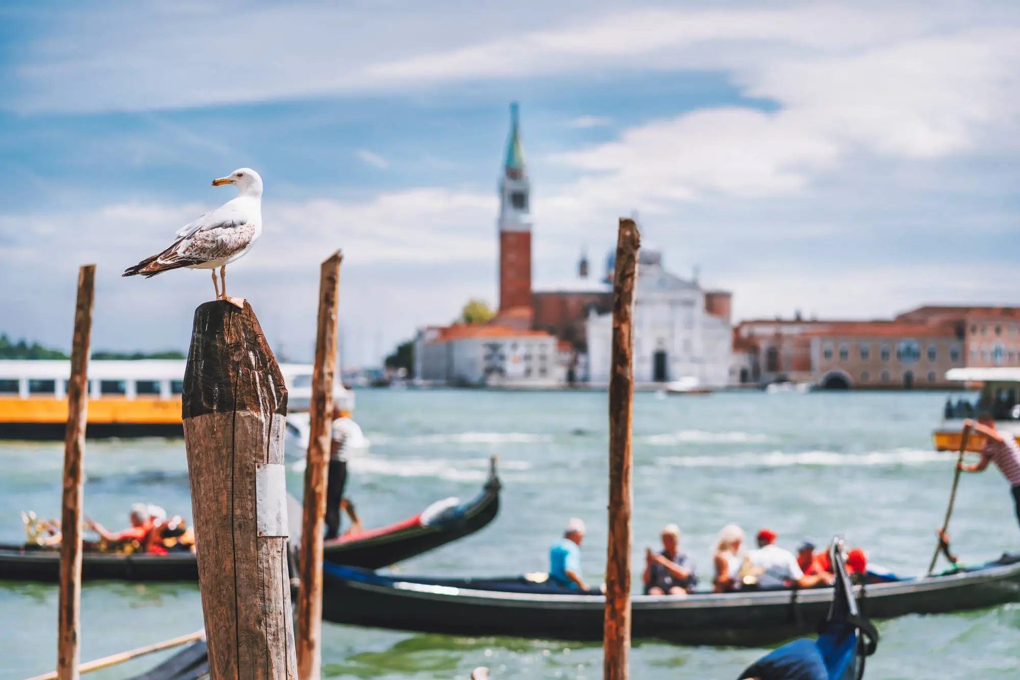 Laguna di Venezia